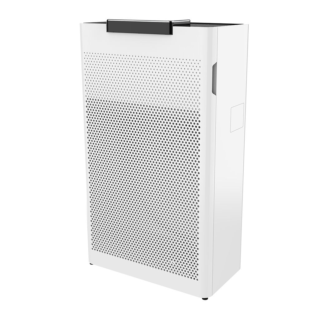 ลบฟอร์มาลดีไฮด์ที่ดีที่สุดเพลิดเพลินกับอากาศบริสุทธิ์ BKJ-20G ส่วนใหญ่