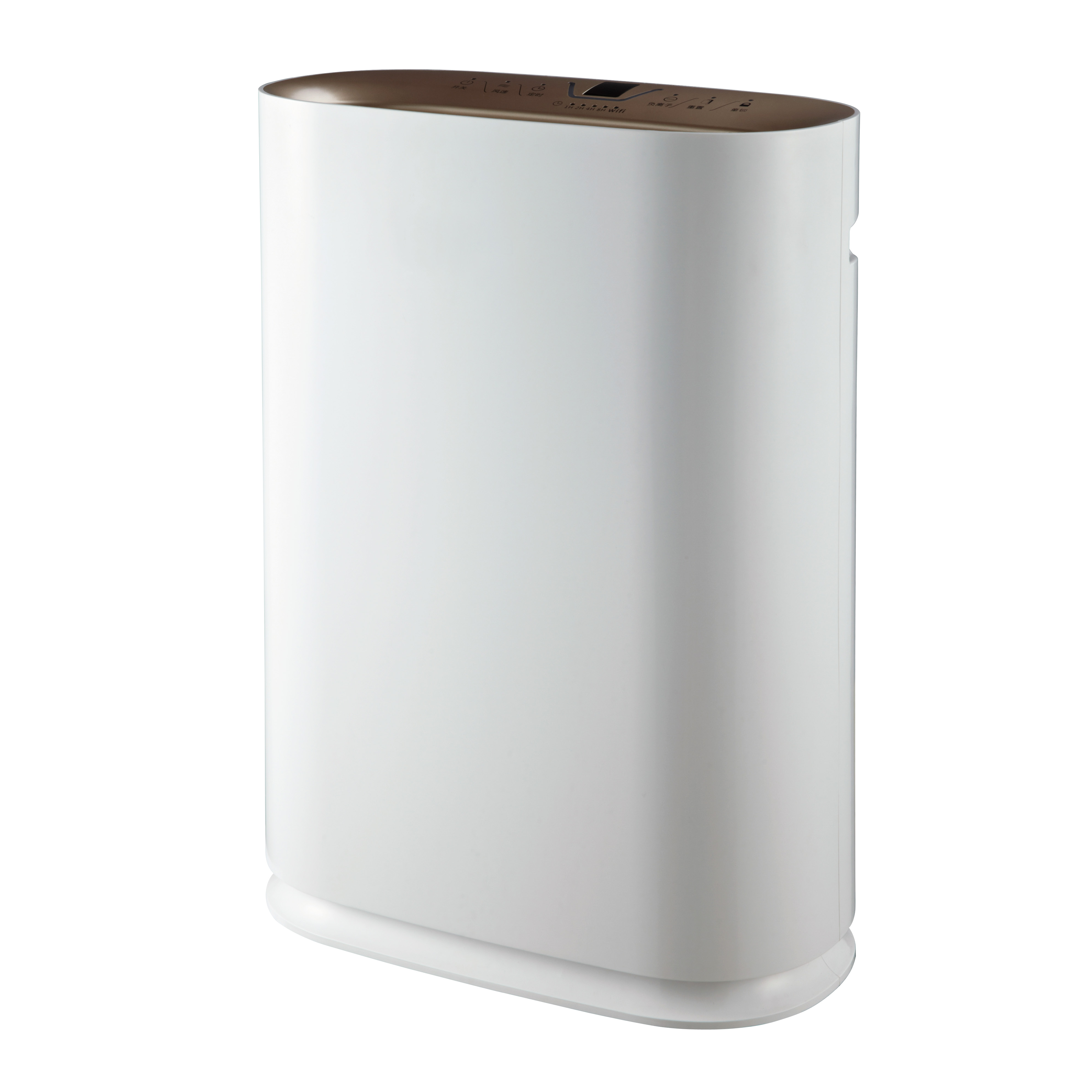 ลบฟอร์มาลดีไฮด์ที่ดีที่สุดเพลิดเพลินกับอากาศบริสุทธิ์ BKJ-300 ส่วนใหญ่