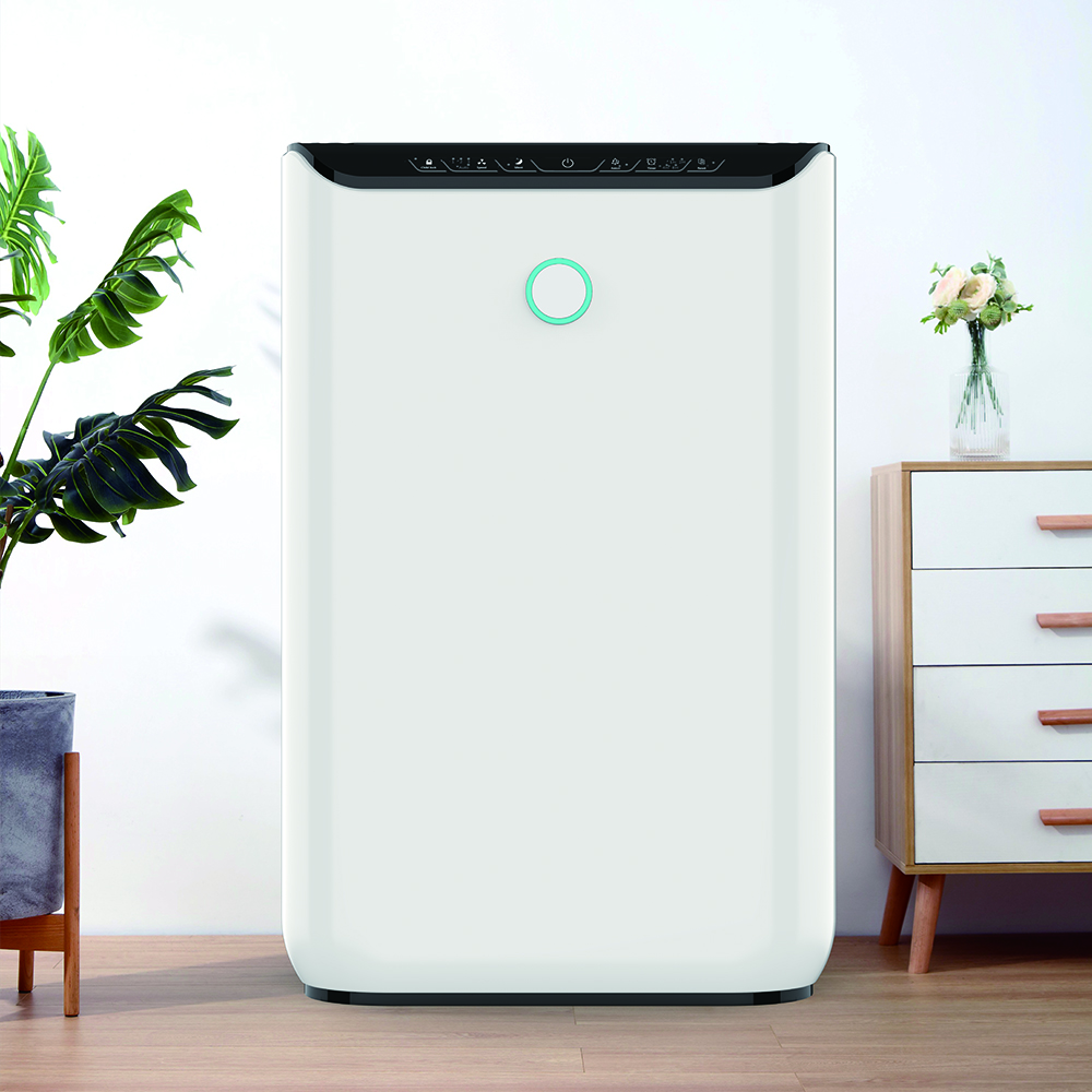 ลบฟอร์มาลดีไฮด์ที่ดีที่สุดเพลิดเพลินกับอากาศบริสุทธิ์ BKJ-370 ส่วนใหญ่