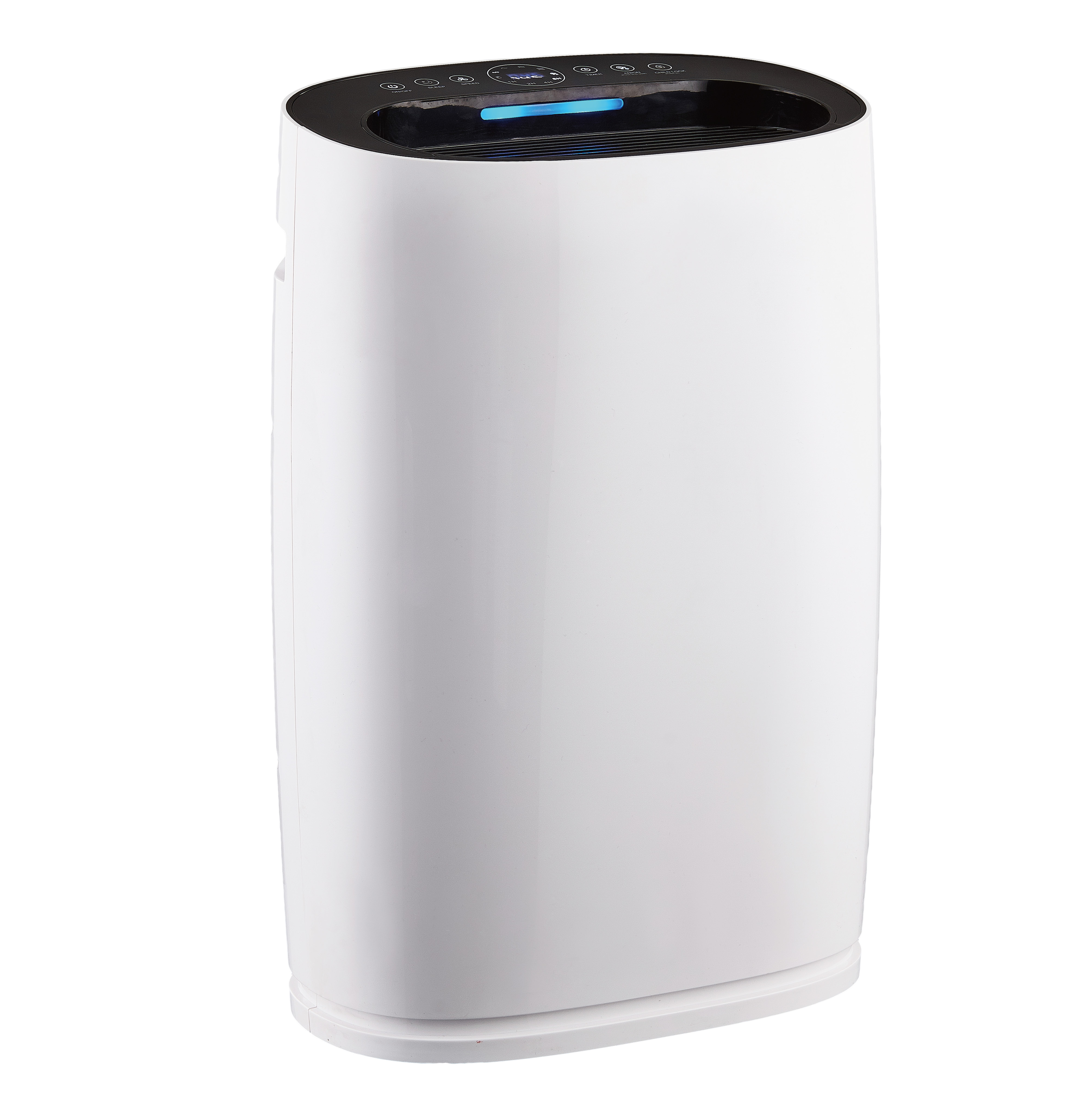 ลบฟอร์มาลดีไฮด์ที่ดีที่สุดเพลิดเพลินกับอากาศบริสุทธิ์ BKJ-306 ส่วนใหญ่