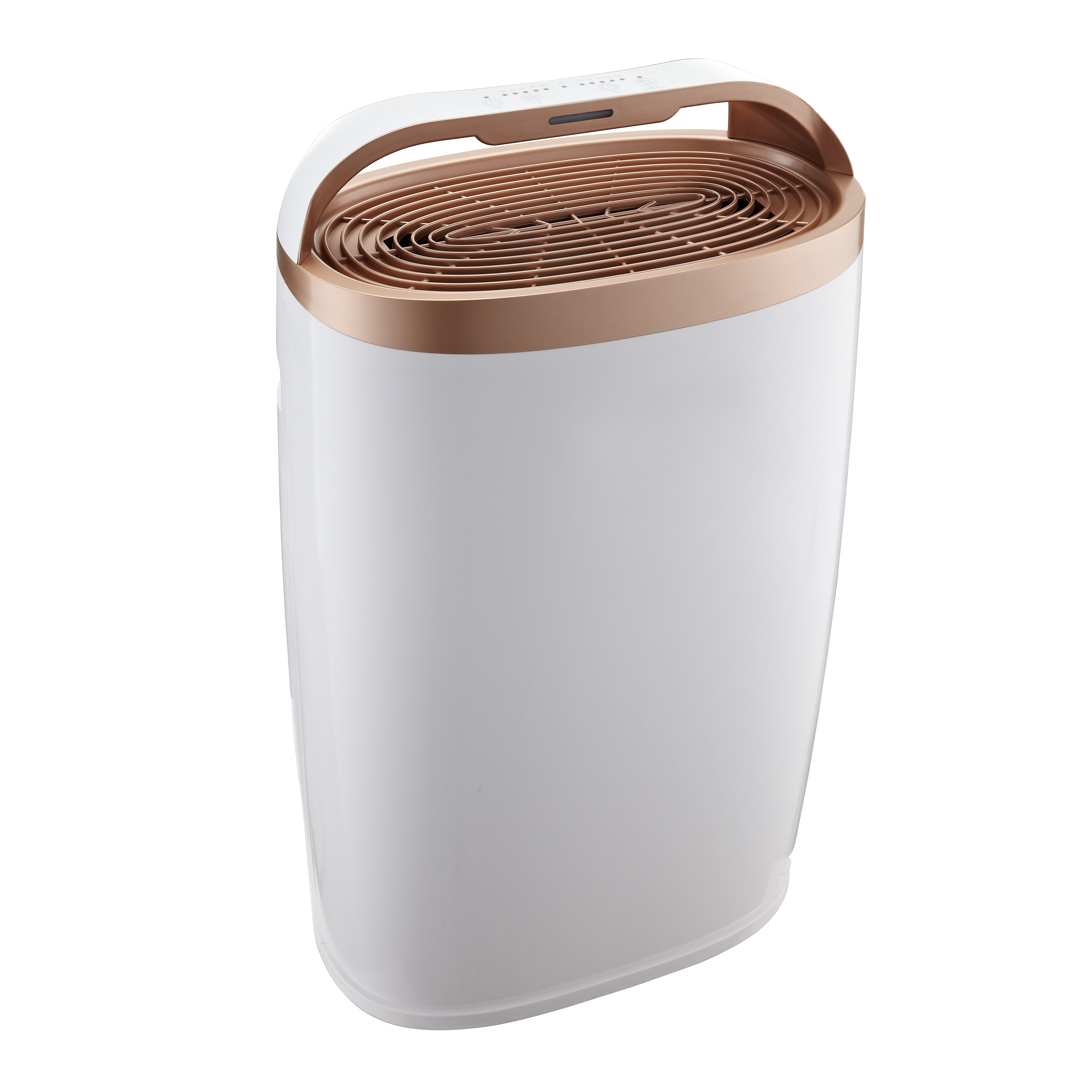 ลบฟอร์มาลดีไฮด์ที่ดีที่สุดเพลิดเพลินกับอากาศบริสุทธิ์ BKJ-306a ส่วนใหญ่