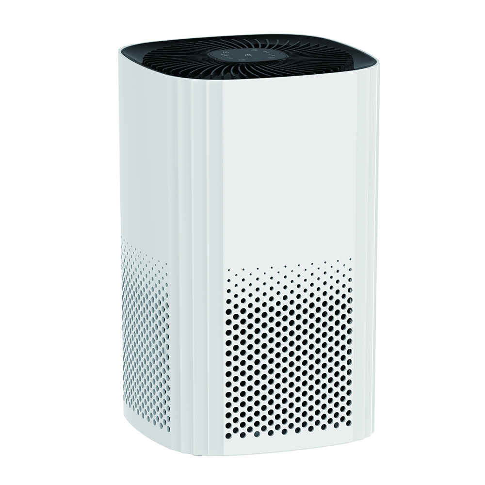 ลบฟอร์มาลดีไฮด์ที่ดีที่สุดเพลิดเพลินกับอากาศบริสุทธิ์ BKJ-22D ส่วนใหญ่