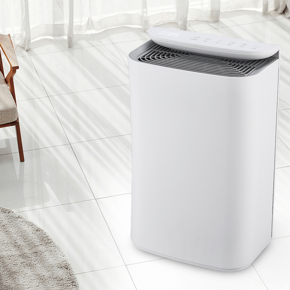 อัพเกรดเทคโนโลยีไอออนลมหายใจสดใหม่ของป่า BKJ-16B