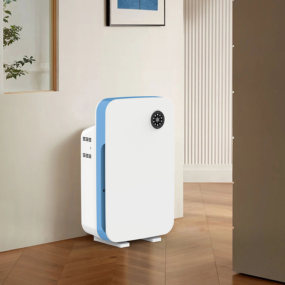 ลบฟอร์มาลดีไฮด์ที่ดีที่สุดเพลิดเพลินกับอากาศบริสุทธิ์ BK-02 ส่วนใหญ่