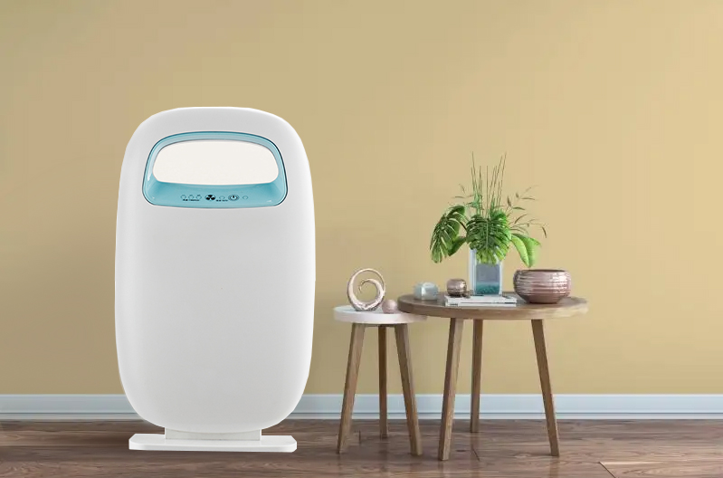 ลบฟอร์มาลดีไฮด์ที่ดีที่สุดเพลิดเพลินกับอากาศบริสุทธิ์ BK-03 ส่วนใหญ่