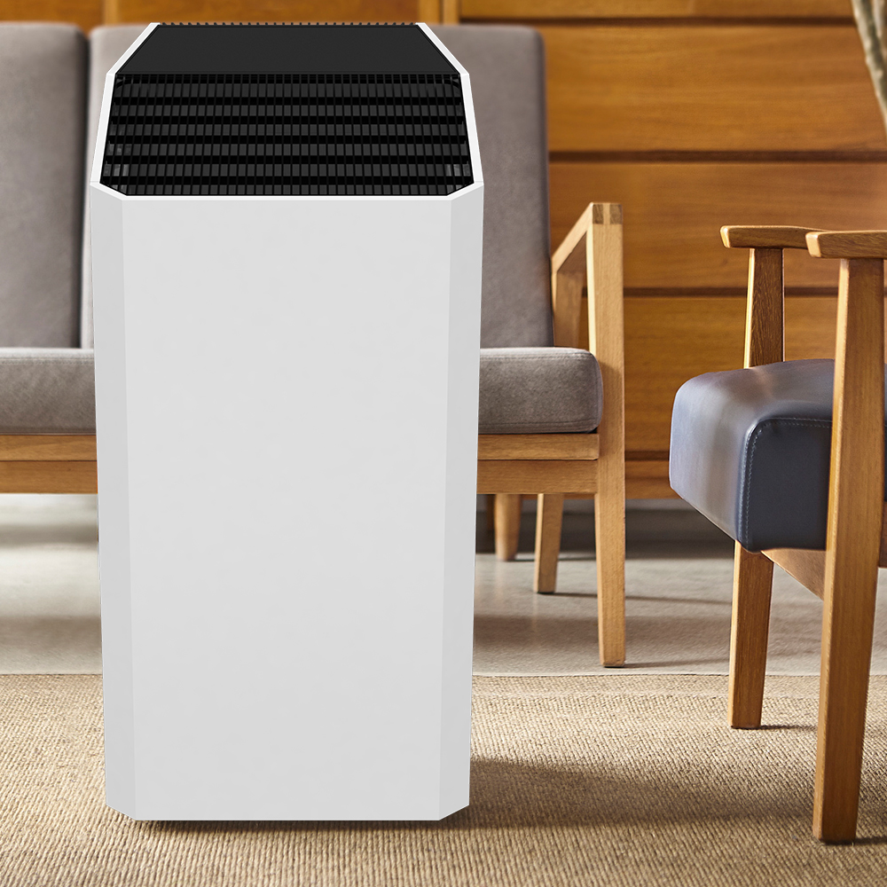 ลบฟอร์มัลดีไฮด์ที่ดีที่สุดเพลิดเพลินกับอากาศบริสุทธิ์ BKJ-90C ส่วนใหญ่