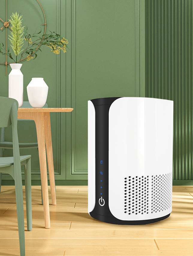 ลบฟอร์มาลดีไฮด์ที่ดีที่สุดเพลิดเพลินกับอากาศบริสุทธิ์ BKJ-15 ส่วนใหญ่