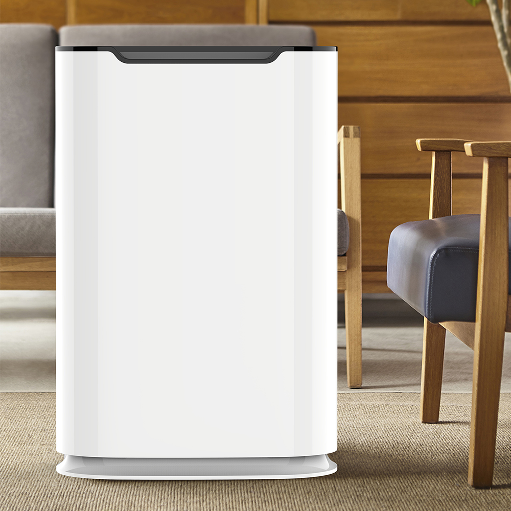 ลบฟอร์มาลดีไฮด์ที่ดีที่สุดเพลิดเพลินกับอากาศบริสุทธิ์ BKJ-215 ส่วนใหญ่