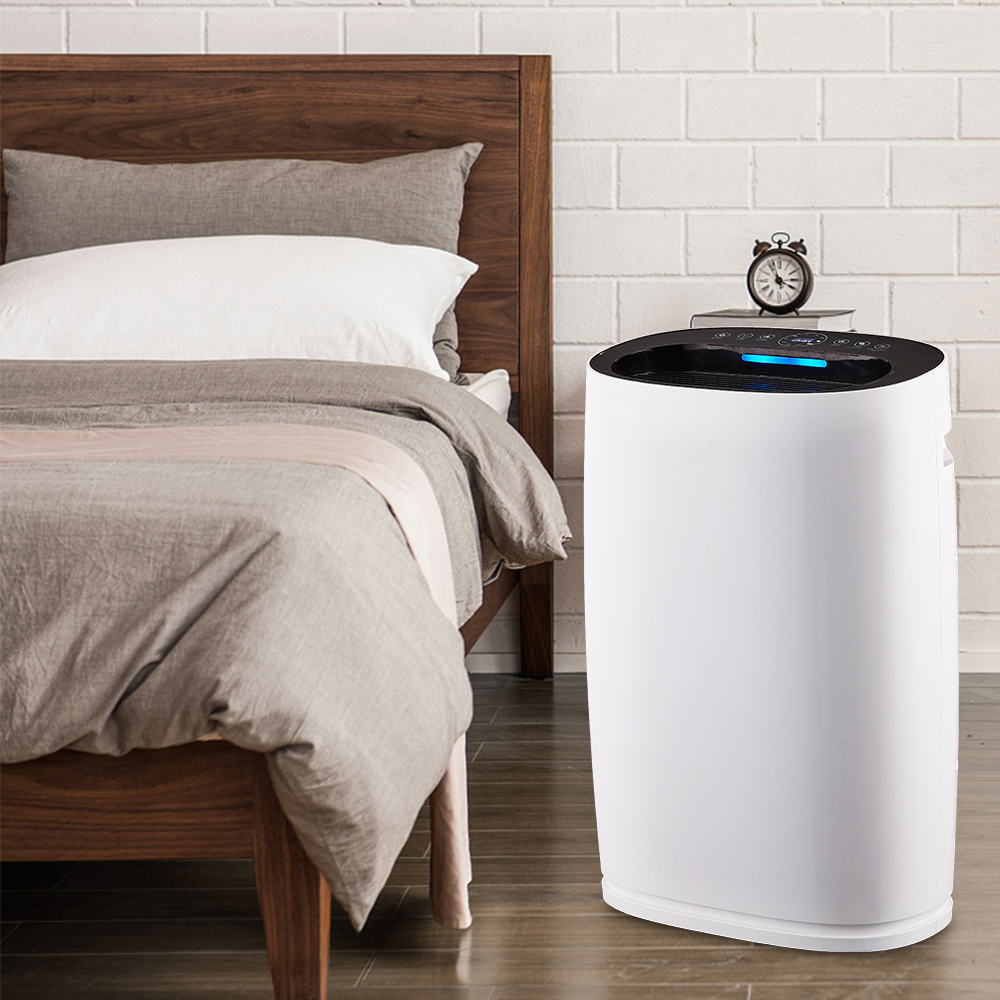 ลบฟอร์มาลดีไฮด์ที่ดีที่สุดเพลิดเพลินกับอากาศบริสุทธิ์ BKJ-306 ส่วนใหญ่