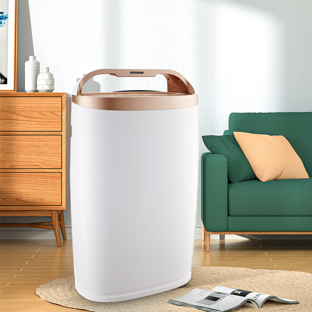 ลบฟอร์มาลดีไฮด์ที่ดีที่สุดเพลิดเพลินกับอากาศบริสุทธิ์ BKJ-306a ส่วนใหญ่